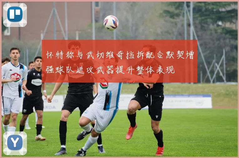 怀特称与武切维奇挡拆配合默契增强球队进攻武器提升整体表现