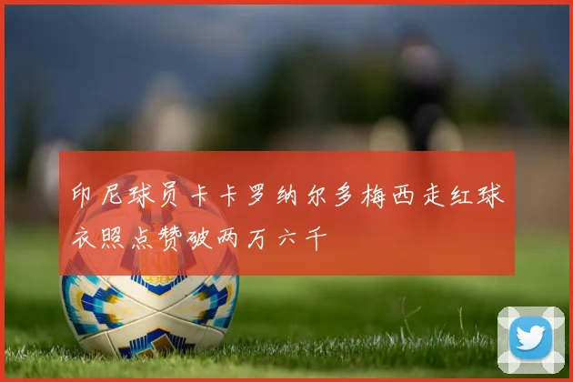 印尼球员卡卡罗纳尔多梅西走红球衣照点赞破两万六千